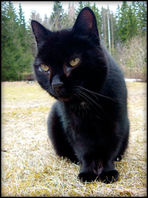 Juuso, May 2012